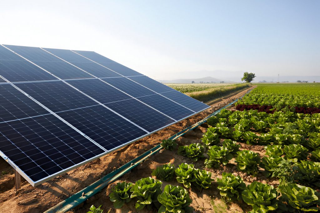 Off-grid solar systems