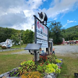 Double Goose neck 10 watt solar sign kit